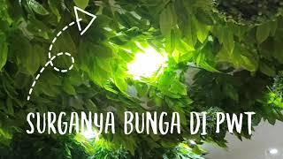 AMOR PURWOKERTO||SURGANYA BUNGA CANTIK DAN HOME DECOR