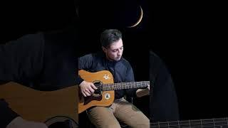  Oleg Vynnyk - she-wolf [intro] on guitar #cover #shorts
