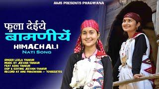 Latest Pahadi Nati 2024 | Fulaa Deye Bamniyen | Jeevan Leela Thakur | Official Video | AMS Phagwana