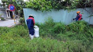 From OVERGROWN to CLEAN - Weeds Cleared for a Cleaner, Safer Path!