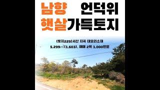 (토지229)남향햇살가득언덕위의토지, 서산시지곡면대요리소재, 5,299㎡(1,603) , 귀촌용,농사짓고집짓고 추천, 매매 2억 1,000만원