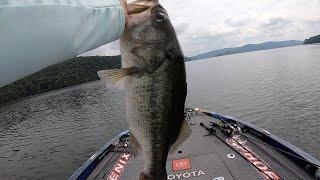 LEDGE FISHING On LAKE GUNTERSVILLE!!