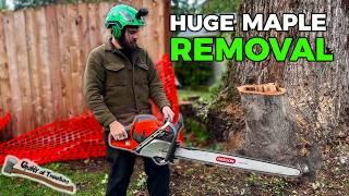 MEGA Maple Job!! Removing A Tree Stuck Between TWO Yards - Part 2