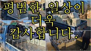 [어쩌다 콜바리] 12. 24 평범한 일상이 감사한 하루 입니다.