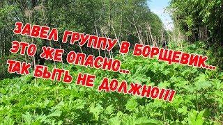 О походе, в который я всех звал, но мало кто пошел. Вновь на мертвое озеро.