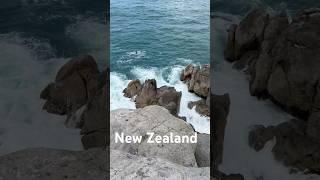 New Zealand #newzealand #shortvideo