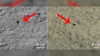 Strange Glass Spheres Discovered on the Far Side of the Moon