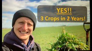 YES!!.....3 Crops in 2 Years!