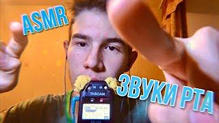 АСМР ЗВУКИ РТА  asmr mouth sound