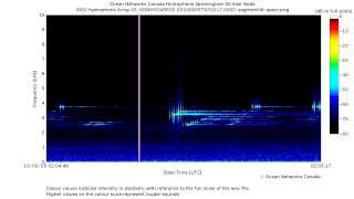 Powerful Sonar Pings and Sweeps in the Strait of Georgia