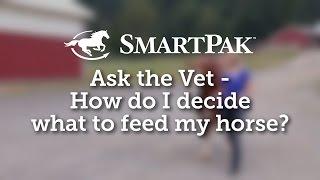 Ask the Vet - How do I decide what to feed my horse?