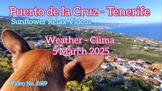 Tenerife ️ Puerto de la Cruz Morning Weather 5 March 2025 Teneriffa