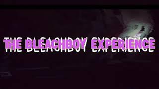 The Bleachboy Experience