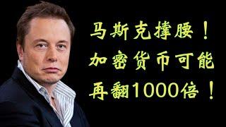 马斯克撑腰！这加密货币可能再翻1000倍！