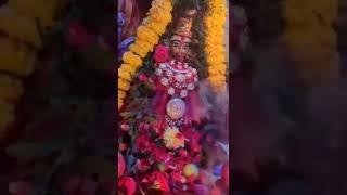 Sri devi naga karumariamma dharisanam #karumariamman #durgapuja