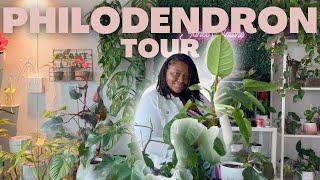 PHILODENDRON COLLECTION TOUR | Over 30 Philodendron Varieties