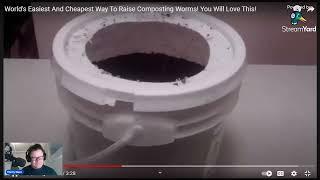 CHEAP EASY Crazy Simple Worm Farm YOU WILL LOVE THIS