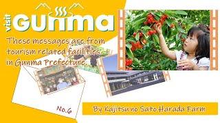 VISIT GUNMA「Kajitsu no Sato Harada Farm」｜観光魅力創出課｜群馬県