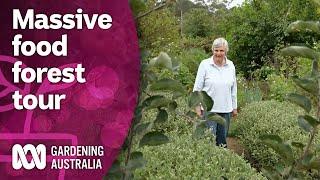 Touring an amazing food forest with over 300 edible plants | Discovery | Gardening Australia