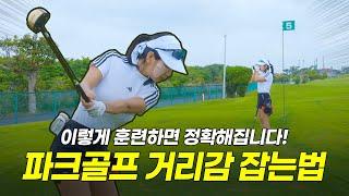 파크골프 파크골프 거리감 잡는 법, 이렇게 연습하세요! | 하이샷파크골프