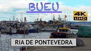 BUEU | RÍA DE PONTEVEDRA.