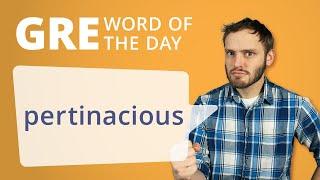 GRE Vocab Word of the Day: Pertinacious | Manhattan Prep