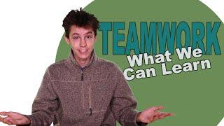 4 Things We Learn From TeamWork