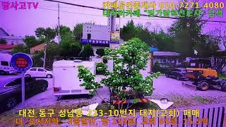 [물건광고] 대전광역시 동구 성남동 223-10번지, 토지매매(교회 포함), 대지, 155평