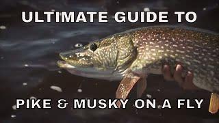 Ultimate Guide to Pike and Musky Fishing on a Fly