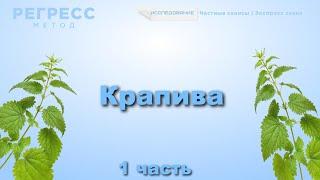 144 #Крапива  (оператор Татьяна, #телепат Виктория) #регрессивный_гипноз #подсознание #психология