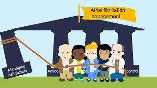 The four pillars of atrial fibrillation (AF) management