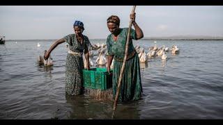 Women's empowerment through fisheries in Ethiopia