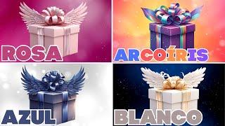 Elige 1 Regalo de 4  ¡Desafío de 4 Cajas de Regalo!