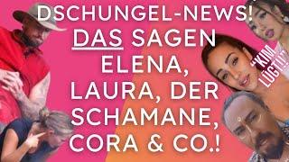 "KIM LÜGT!!!" behaupten Mikes Exen Elena & Laura! Schamane verteidigt Kim Virginia!️Dschungel News