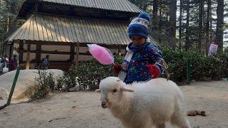 Movie Yeh Jawaani Hai Deewani Shooting Location Hadimba Devi Temple, Manali | #siddharth