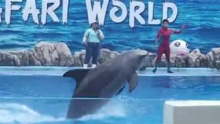 Dolphin show In Safari World | Wonderful Dolphin Show at Marine Park | Jerish World