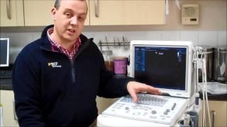 Mindray Z5 veterinary ultrasound scanner step by step instructional guide