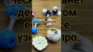 Чеснок #народнаямедицина #shorts #short #video