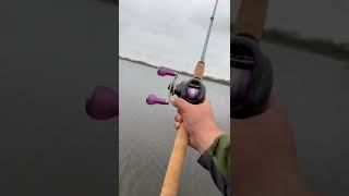 BEST saltwater TOPWATER fishing  combo #fishing #saltwaterfishing