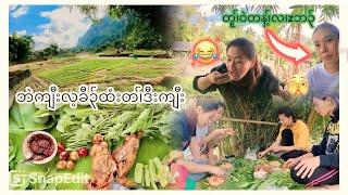 22/11/2024 Karen girls eating at Mae la camp vegetables garden ️