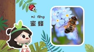 Early Learners | The Dancing Bees | Emmy&GooRoo Nature Class | Kids Cartoons [SUBS]