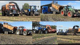 Uien laden  Loading Onions  Striper akkerbouw  2x Dezeure overlaadwagen