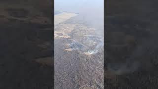 В Беларуси начали гореть леса