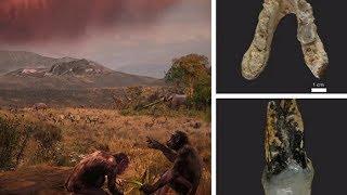 Europe was the birthplace of mankind, not Africa, scientists find