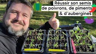 Comment réussir son semis de poivrons🫑, de piments️ et d'aubergines (puis le repiquage) 『TUTO』