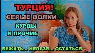 ТУРЦИЯ. Серые волки!!!