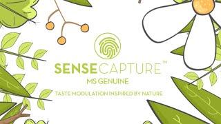 MANE Sense Capture™ MS Genuine   Taste modulation inspired by nature