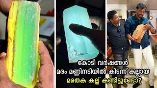 കോടി വർഷങ്ങൾ മരം മണ്ണിനടിയിൽ കിടന്ന് കല്ലായ മരതക കല്ല് കണ്ടിട്ടുണ്ടോ? Antique Collection in kerala