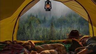 I'll Sleep in This Tent on a Rainy Day in a Foggy Forest - Sounds of Rain in Sleep