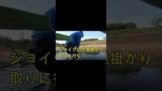 【バス釣り】釣りあるある＃shorts